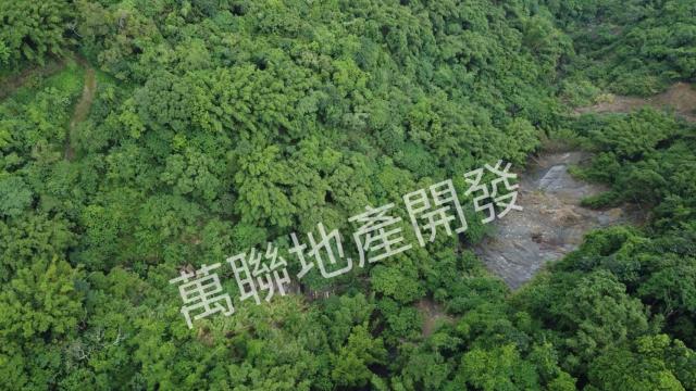 台中山坡地保育區林業-9