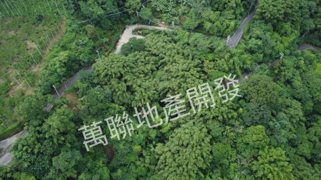 台中山坡地保育區林業-12