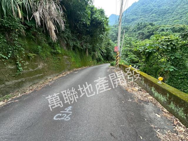 台中山坡地保育區林業-2