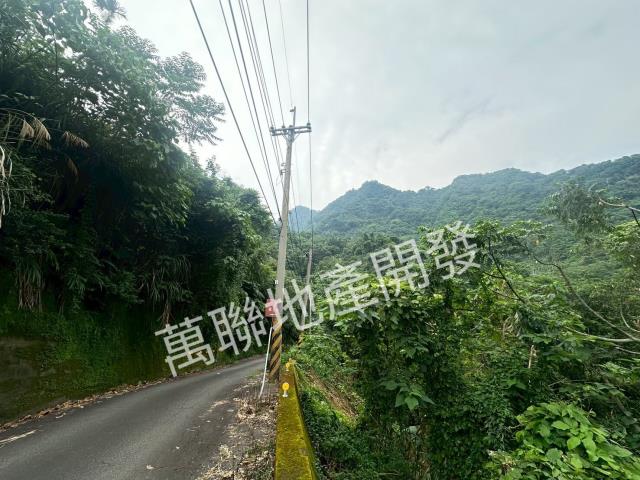 台中山坡地保育區林業-5