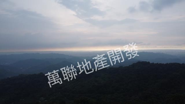 台中山坡地保育區林業-7