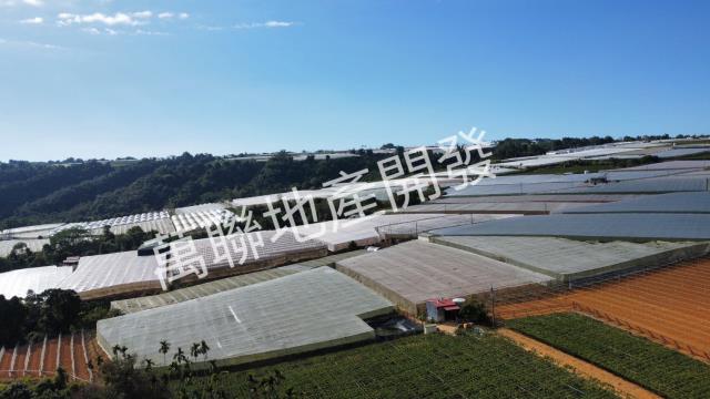 南投埔里山坡保育區林業用-11