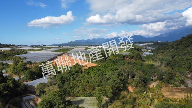 南投埔里山坡保育區林業用-12
